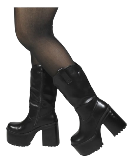Botas Negras De Mujer Plataforma Alta 2469